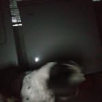 kaleb dobbs - @kalebdobbs21 - Instagram
