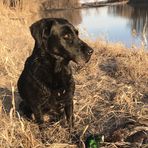 Caleb Dodd - Facebook