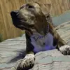 Kaleb Doddridge - @kalebdoddridge - TikTok