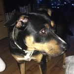 Kaleb Douglas - @kaleb_douglas_2009_ - Instagram