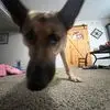 Kaleb Doyle - @kaleb.doyle - TikTok