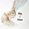 Caleb Duffy - @big.i.flow - TikTok