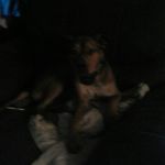 Kaleb Alexzander Duke - @kalebalexzander - Instagram