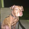 Caleb Durham - @caleb.durham60 - TikTok