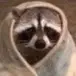 kaleb_eddy - @kaleb_eddy - TikTok