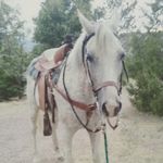 Kaleb Elliott - @cowboy_kaleb_e01 - Instagram