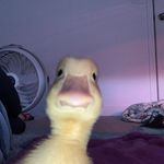 Kaleb Elliott - @kal3b000 - Instagram