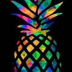 Kaleb Elliott - Facebook