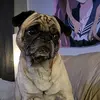Kaleb England - @zephyrus3021 - TikTok