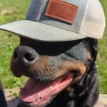 Kaleb Erickson - @kaleberickson53 - Instagram