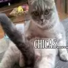 melkalebescobar - @melkalebescobar - TikTok