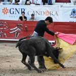 Kaleb Estrada - @kalebestrada - Instagram