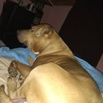 Kaleb Ferguson - @kalebferguson3 - Instagram