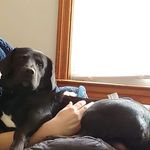 Kaleb Ferguson - @kaleb.ferguson.10 - Instagram