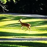 KalebFerguson - @kaleb_ferguson_ - Instagram