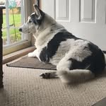 Kaleb Fitzpatrick - @gas_kaleb - Instagram