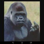 Caleb Flanagan - @overtert583 - Instagram