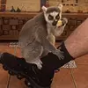 Kaleb flores - @kaleb.flores19 - TikTok