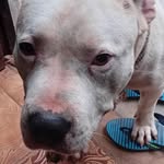 kaleb robalo flores - @kaleb_7771 - Instagram