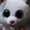 Kaleb Frank - @kaleb_kittens - TikTok