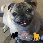 Kaleb Freeman - Facebook