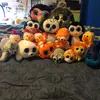 🐨Kaleb.and.friend🐨 - @kaleb.and.friends_ty - TikTok