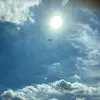 Kaleb Gaines - @kaleb.gaines - TikTok