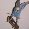 Kaleb Galvan - @kaleb.galvan3 - TikTok