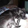 kalebgamble273 - @kalebgamble273 - TikTok