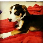 kaleb garza - @kalebg0801 - Instagram