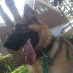 Kaleb Garza - @garza_kaleb - Instagram