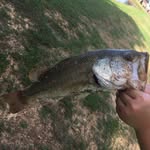 Caleb Hayse Gatlin - @calebhaysegatlincaleb_ - Instagram