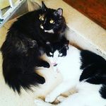 Kaleb Gill - @gill.kaleb - Instagram