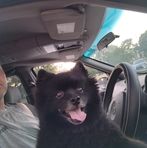 Kaleb Glass - Facebook