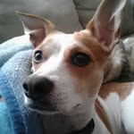 Kaleb Glenn - @glenn.kaleb - Instagram
