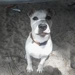 Kaleb Glover - @kaleb.glover - Instagram