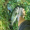 Kaleb Goodman - @kaleb.goodman8 - TikTok