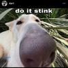 Kaleb Goodman - @kalebgoodman - TikTok