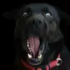 kalebgoss41 - @kalebgoss41 - TikTok