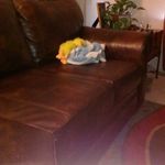 kaleb lliam graves - @cool_kid_sup - Instagram