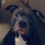 Kaleb Gregory - @k.greg270 - Instagram