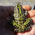 Kaleb Gregory - @kaleb.gregory.754 - Instagram