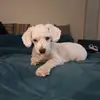 Kaleb Guzman - @kaleb.guzman85 - TikTok