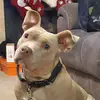 kaleb - @kalebguzman4444 - TikTok
