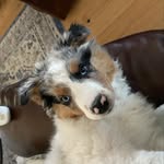 Kaleb Hamann - @harley_jo1120 - Instagram