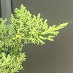 @hamm_kaleb - Instagram