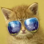 caleb harbin - @charbin03 - Instagram