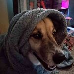 Kaleb Harmon - @kalebbriandavidharmon - Instagram