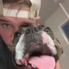 kalebharrison258 - @kalebharrison258 - TikTok