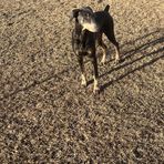 Kaleb Hart - Facebook